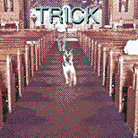 Alex G - Trick